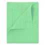 Lario Mint Placemats Set of 4