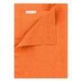 Lario Papaya Placemats Set of 4