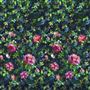 Gertrude Rose - Fuchsia Cutting