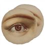 Eye Sepia Cushion 