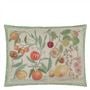 Oranges Canvas Cushion 