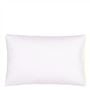 Astor Lime Standard Pillowcase