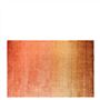 Savoie Coral Standard Rug