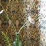 Ikebana Damask Gold