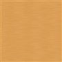 Pampas - Apricot Cutting
