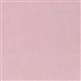 Varese - Pale Rose Cutting