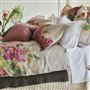 Thelma's Garden Fuchsia Bedding