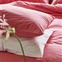 Loweswater Geranium Organic Bed Linen
