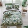 Linge de Lit Fleur Orientale Celadon 