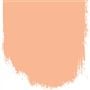 Charentais Melon - No 188 - Perfect Floor Paint - 5 Litre