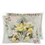 Ghirlanda Fenouil Cushion