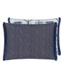 Pompano Indigo Outdoor Cushion