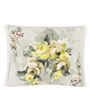 Ghirlanda Fenouil Cushion