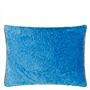 Cartouche Azure Cushion