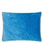 Cartouche Azure Cushion