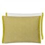 Pompano Acacia Outdoor Cushion