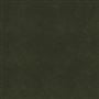 topcoat - loden