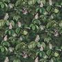 horse chestnut tbc - olive