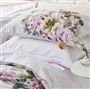 Grandiflora Rose Cotton Duvet Cover Set