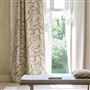 Sancreed Sandstone