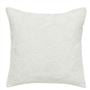 Celandine Chalk Cushion