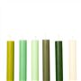 Set of 12 Dining Candles Sping  - Reverse
