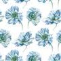 coquelicot - delft