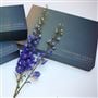 GIFTBOX 3 - LARGE BOX - 50 x 36 x 7.5cm 