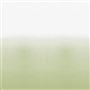 coquelicot ombre sage