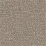 kintail - bark