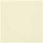 canvas - cream