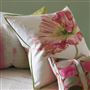 Coquelicot Coral