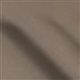Riding Velvet - Gray