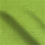 chinon - fern