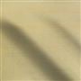 chinon - silver birch