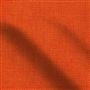 catalan - persimmon