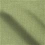trento - seagrass