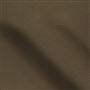 tiber - pinecone