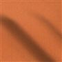 moray - saffron