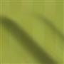foyle - leaf