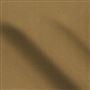 tiber - catkin