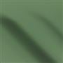 Tiber Fern