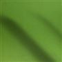 tiber - forest
