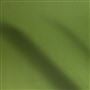 tiber - elm