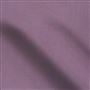 tiber - crocus