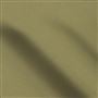 salso - jute