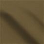salso - cocoa