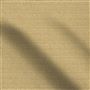 bolsena - seagrass