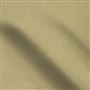 cassia - biscuit