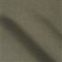 cassia - roebuck